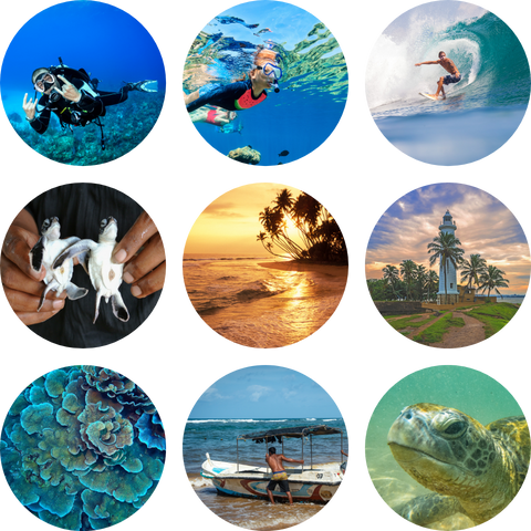 activities in Hikkaduwa